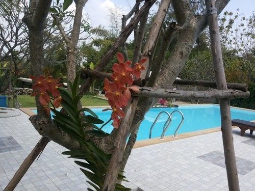 Kanvela Resort Kanchanaburi City Exteriör bild
